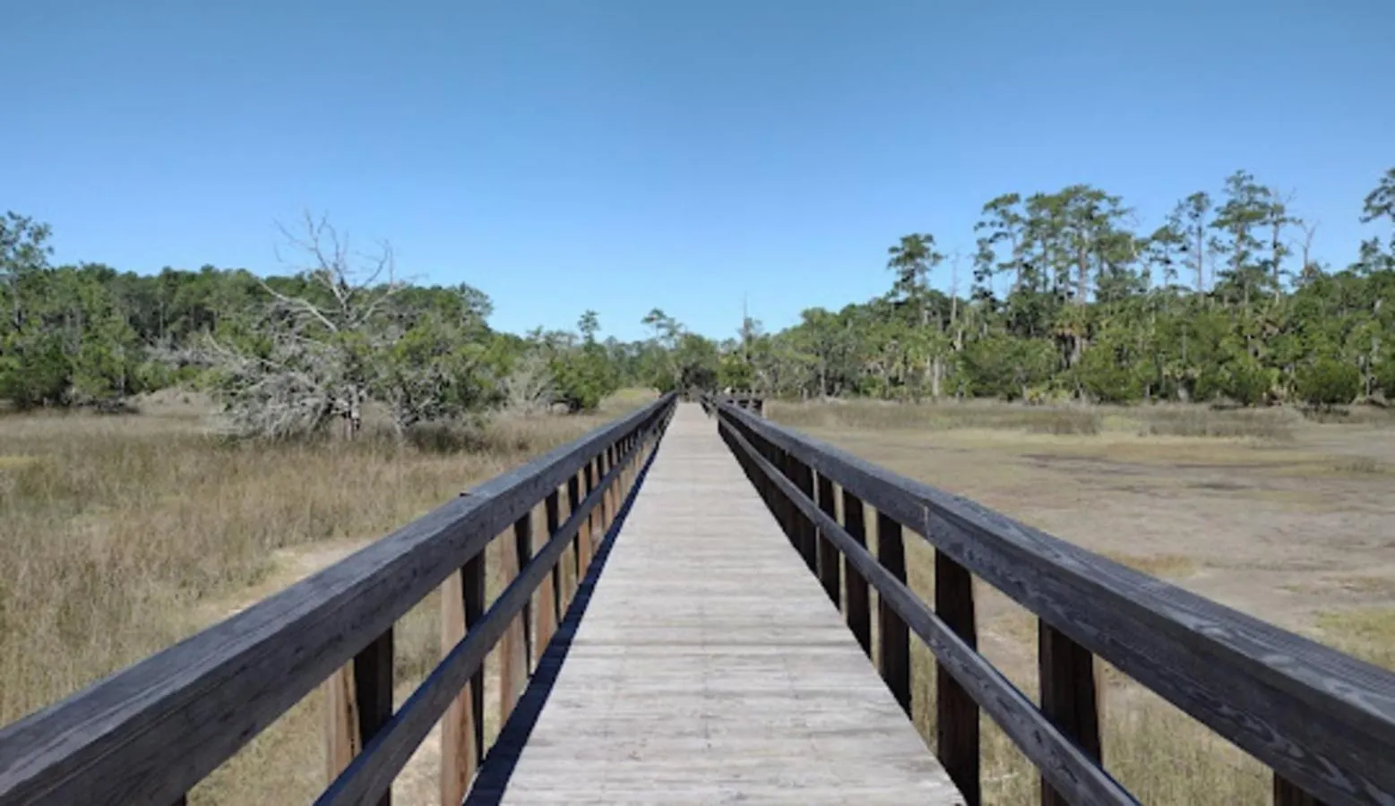 Big Yard, Bbq - Summer Getaway Near Dt, Starland & River St Savannah Apartamento