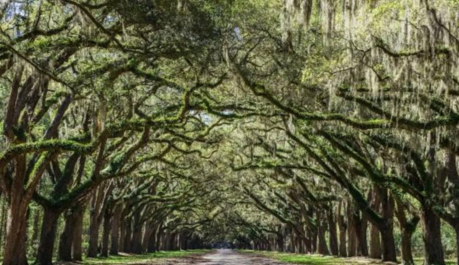Big Yard, Bbq - Summer Getaway Near Dt, Starland & River St Savannah Estados Unidos